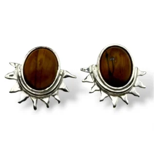 ARETES OJO DE TIGRE